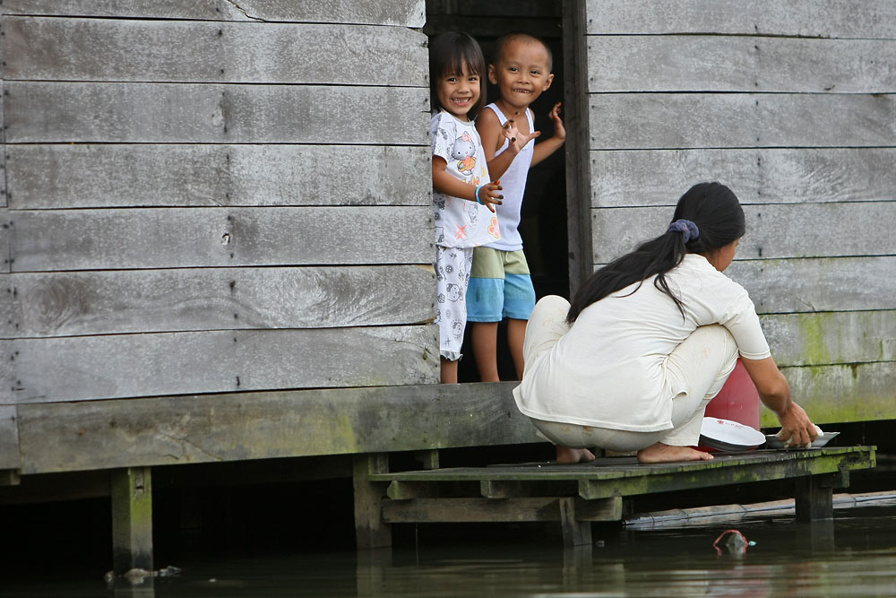 11 06 11Borneo001074
