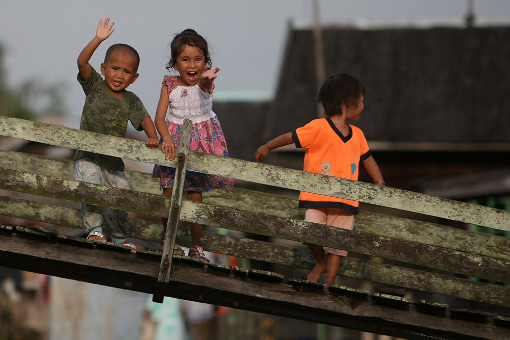 11 06 11Borneo001404