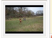 111