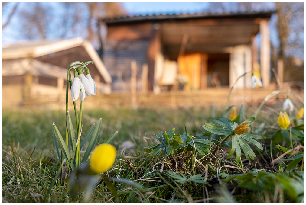 112 Frühling in der Bünte