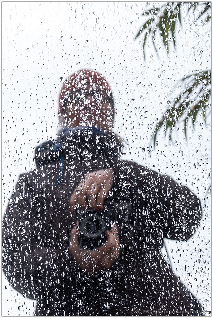 115 Selbstportrait im Regen