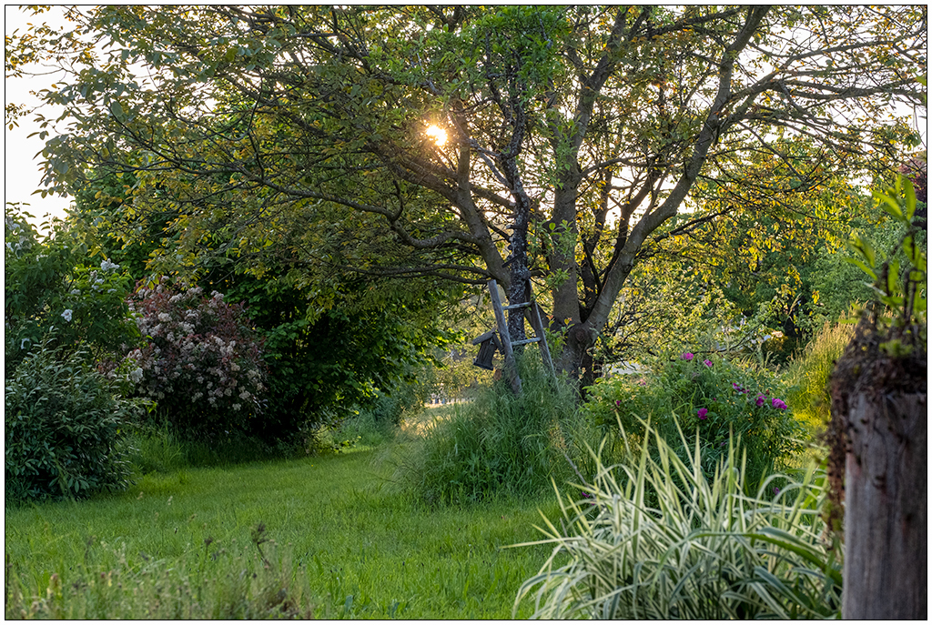 118 Wunderschöner Garten im Elsass