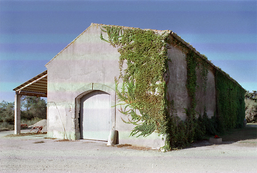 11a