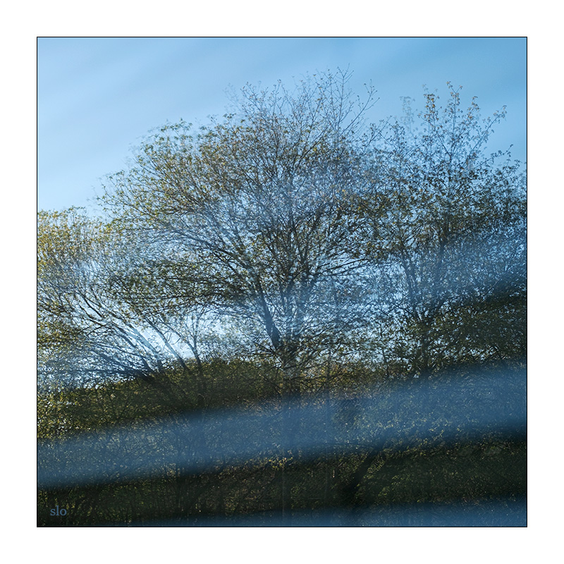 120/365 Nelly Furtado – I’m Like A Bird © 2026 Sabine Lommatzsch