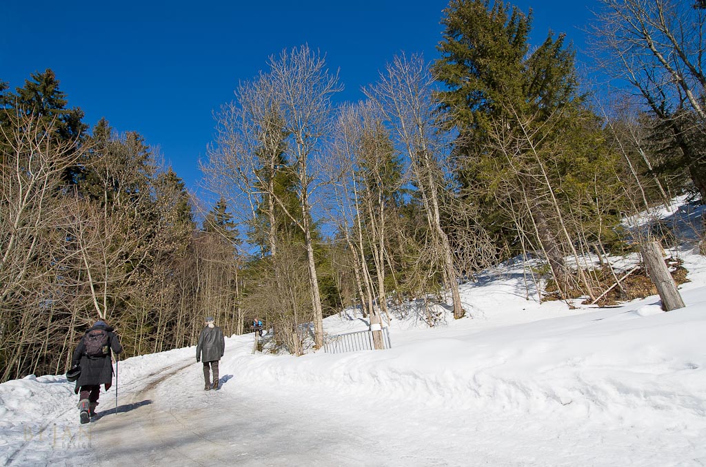 120222 Schliersee2222