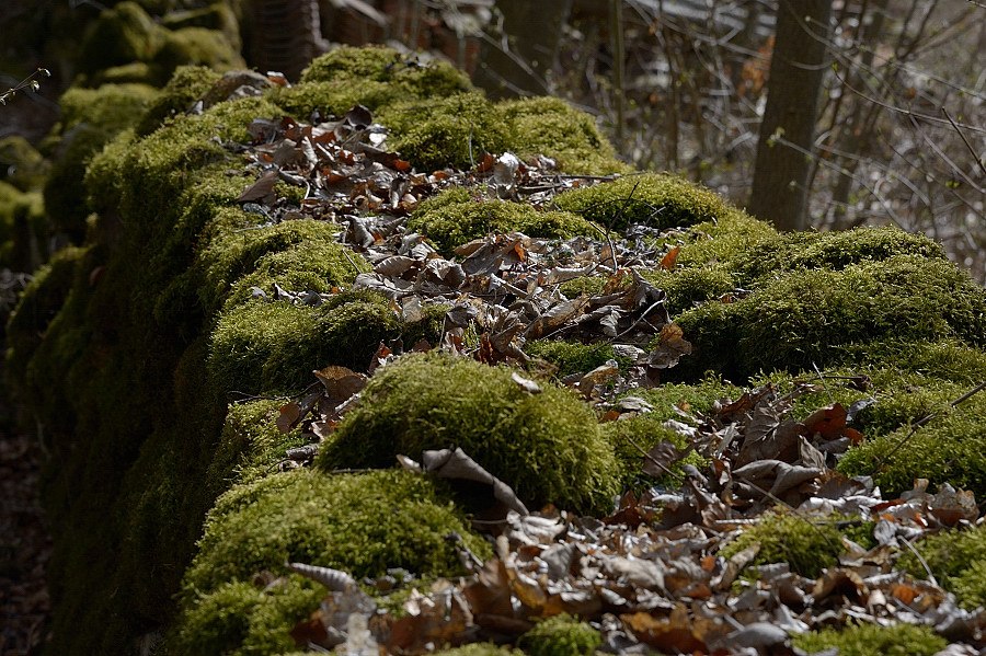 120331 Höfingen 087