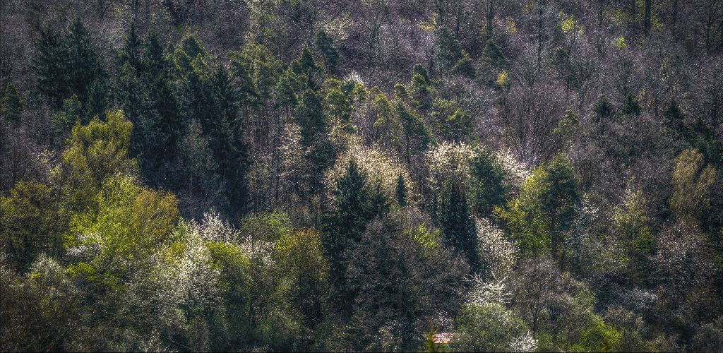 120422 HDR 01