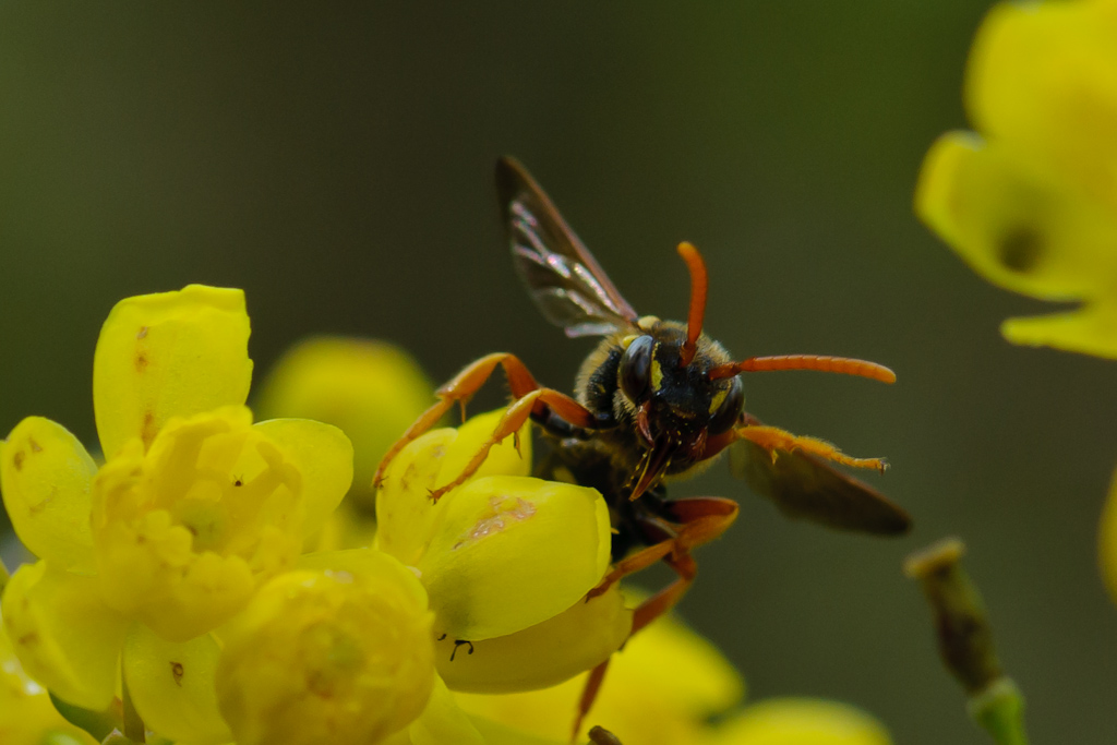 120422 unbenannt 057