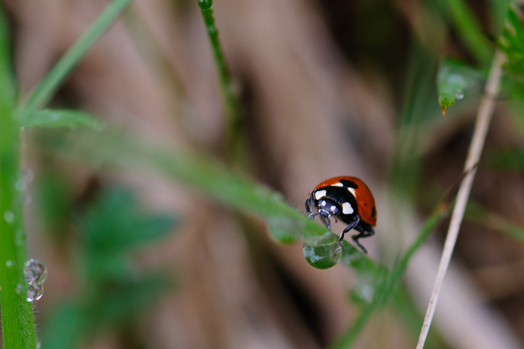 120511 unbenannt 141