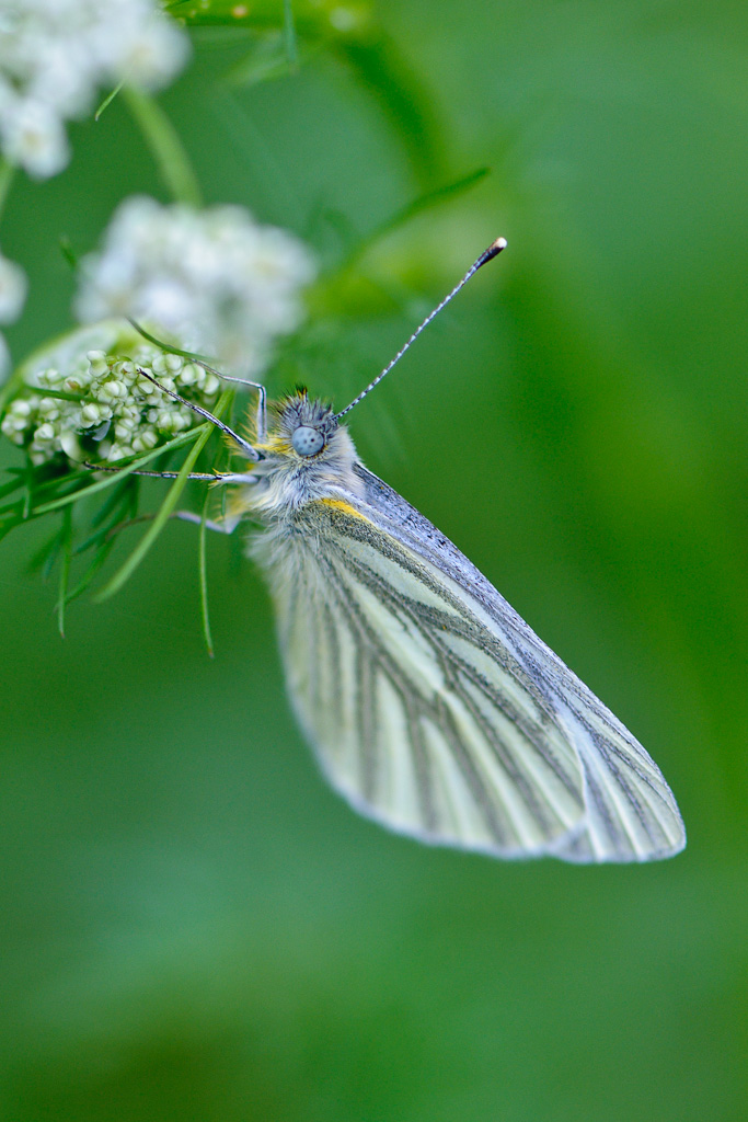 120511 unbenannt 171