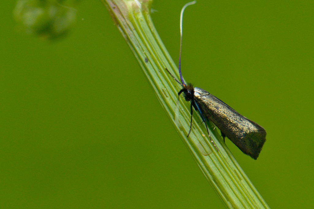 120512 unbenannt 250