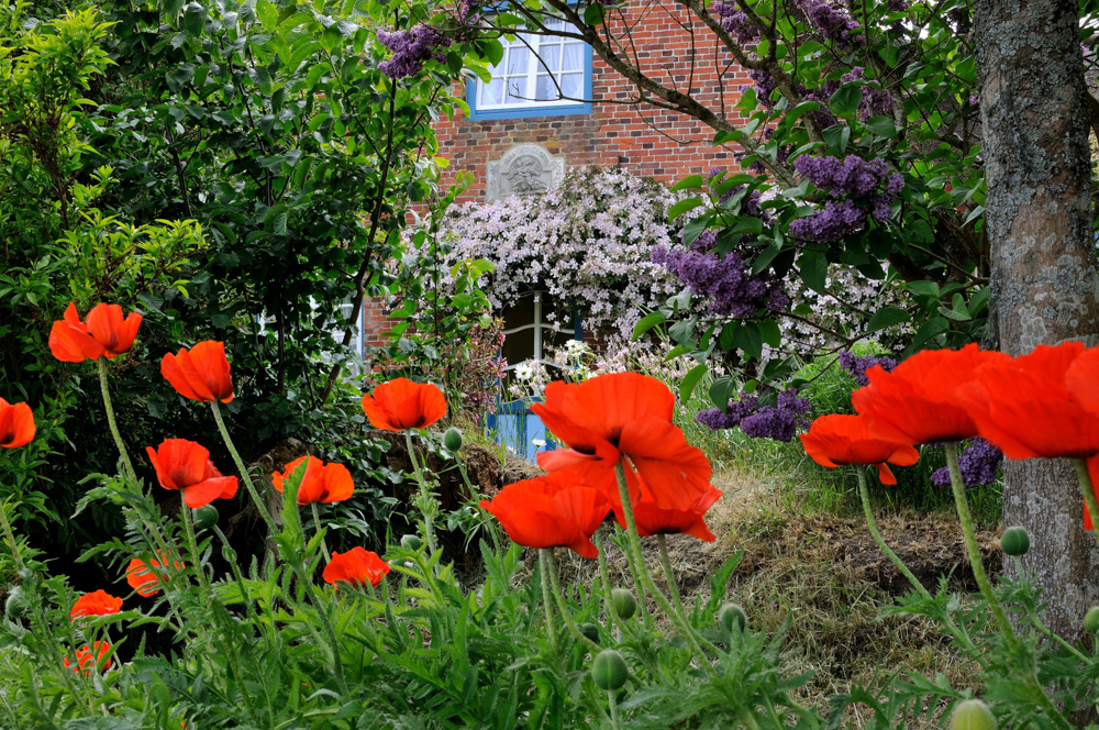 120603-001.jpg