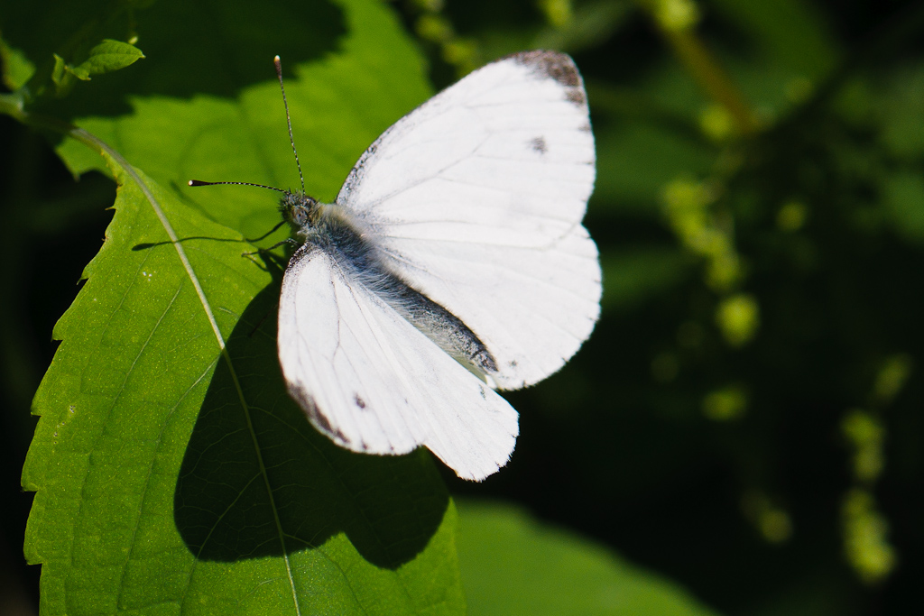 120722 unbenannt 068