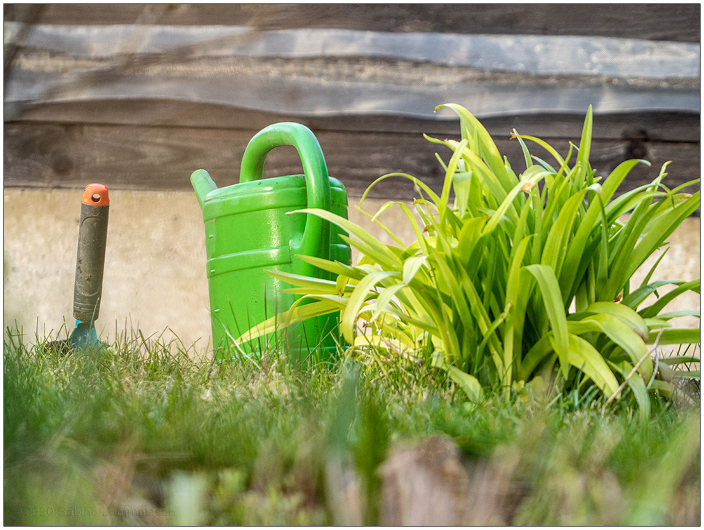 126 Gartenarbeit