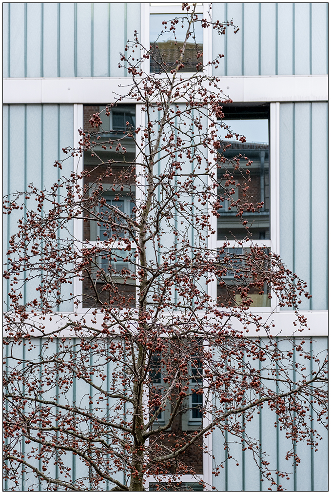126 Kunsthochschule