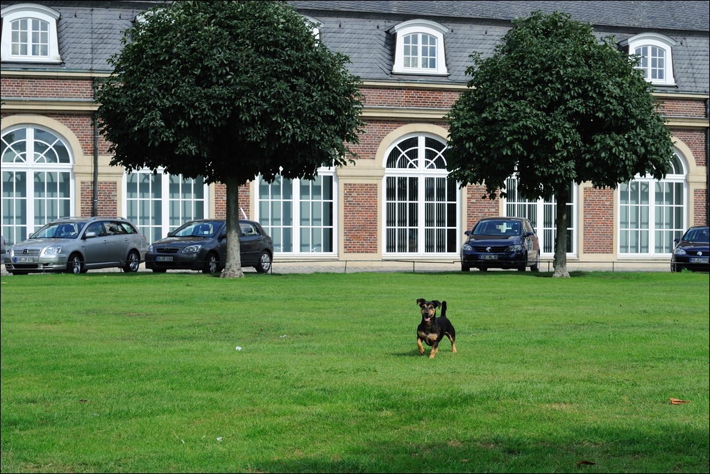 13.08.2011 - Nordkirchen - Parkwächter