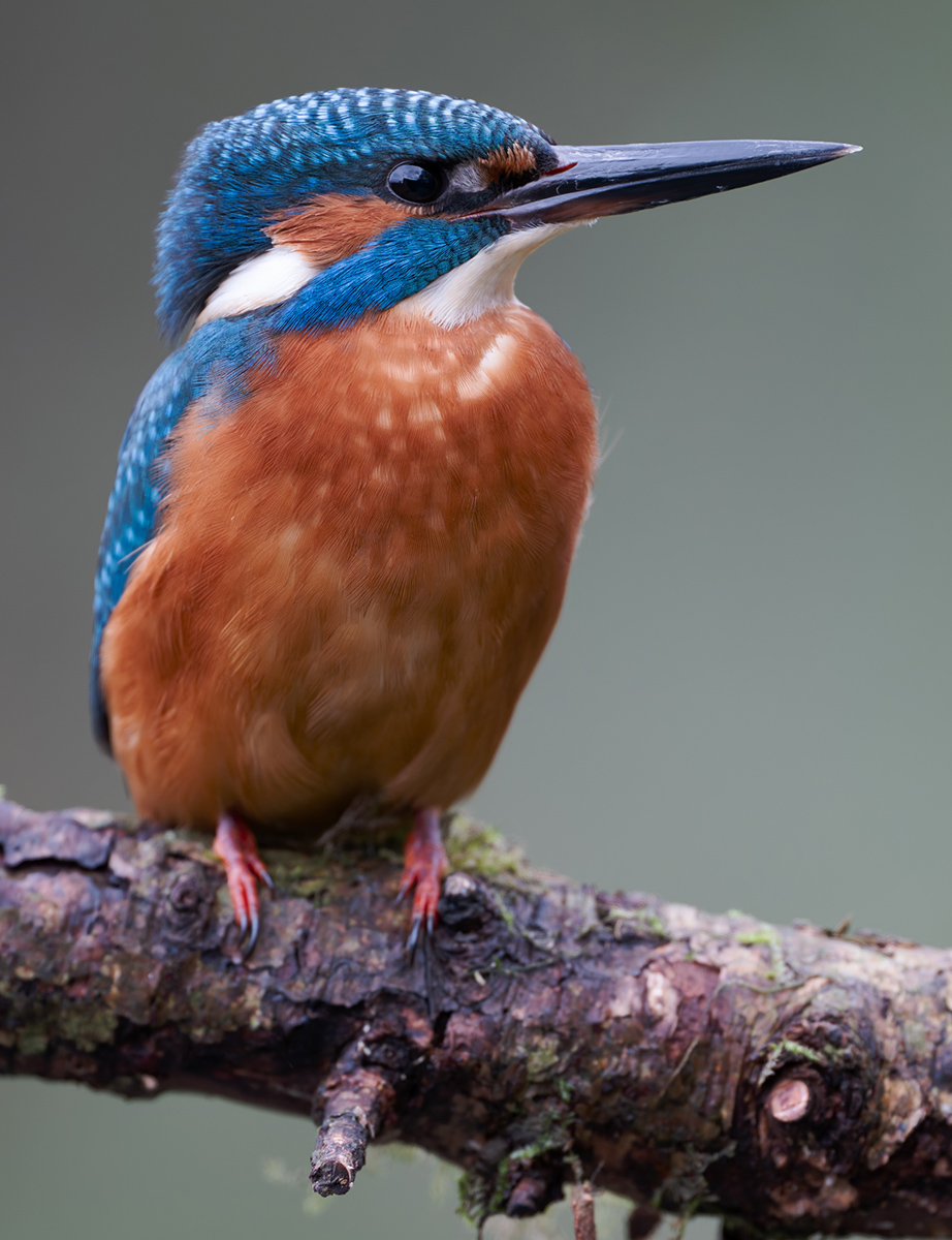 13 400mm f-2.8.jpg