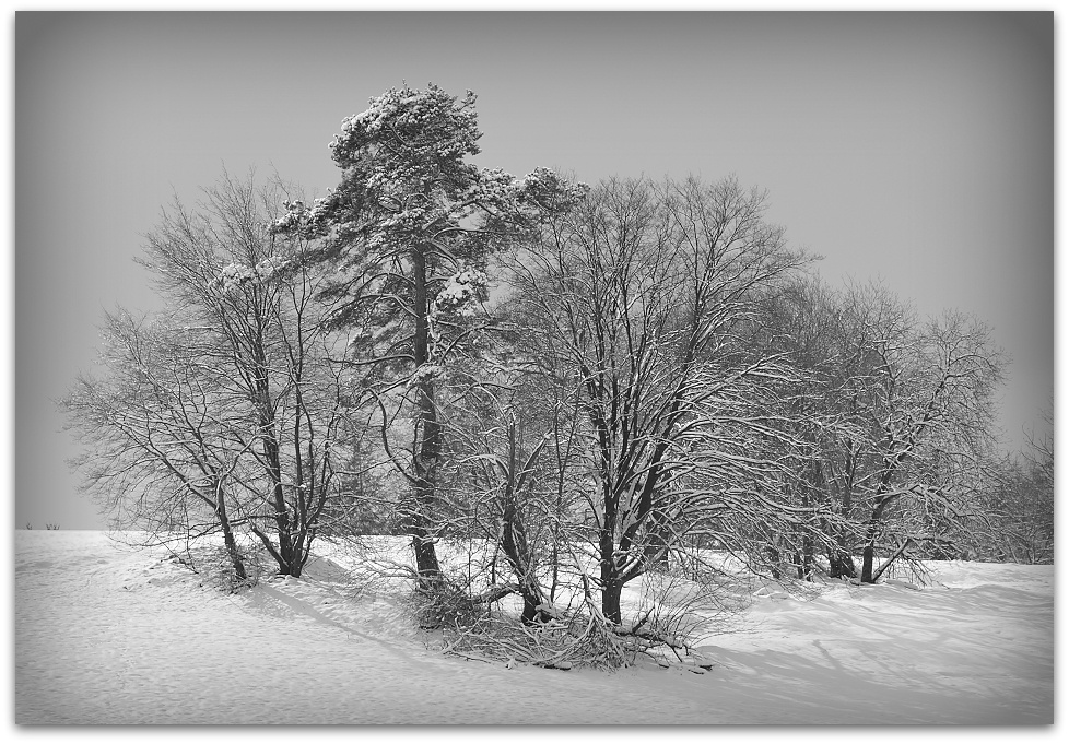 130209 Pano 040 SW, 20130209
D700 70-200/2,8 künstlich vignettiert