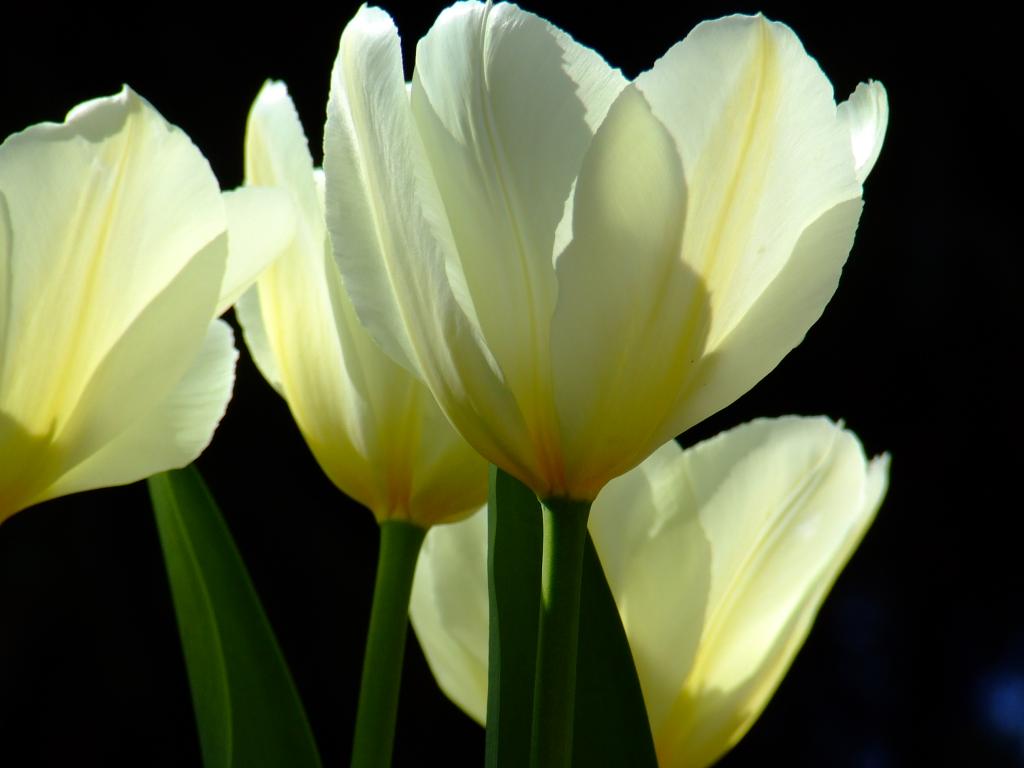 130409 041