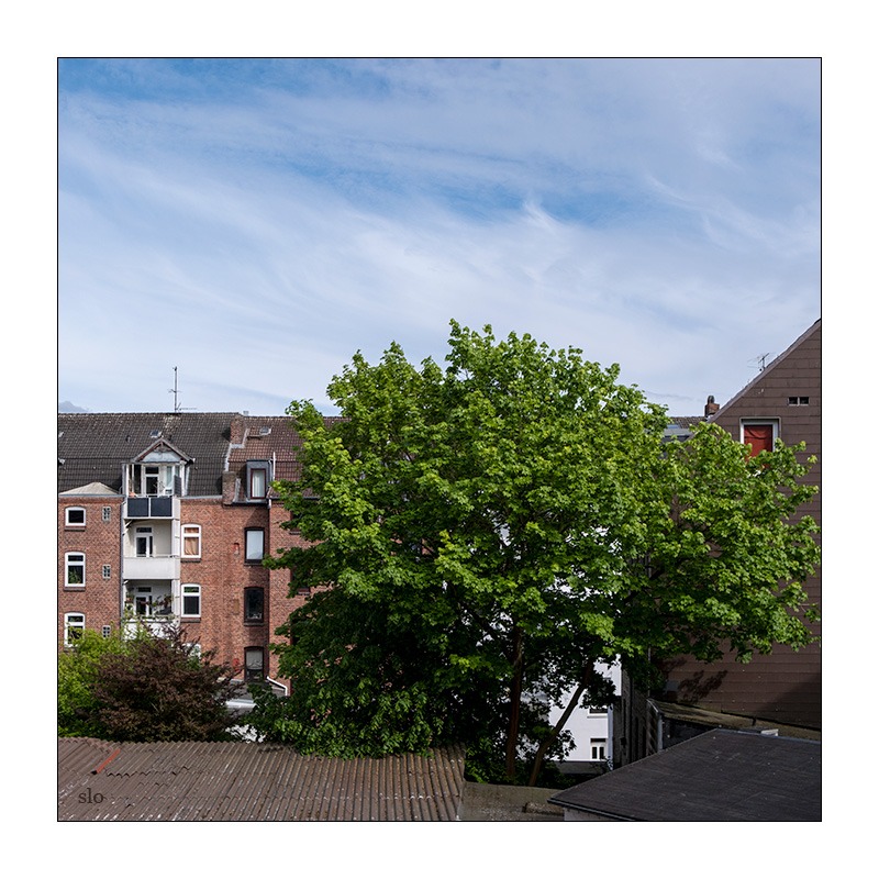 131/365 New Order – Blue Monday © 2026 Sabine Lommatzsch
