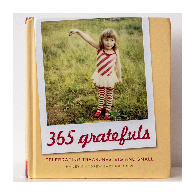 134/365 Patti Smith – Grateful © 2025 Sabine Lommatzsch