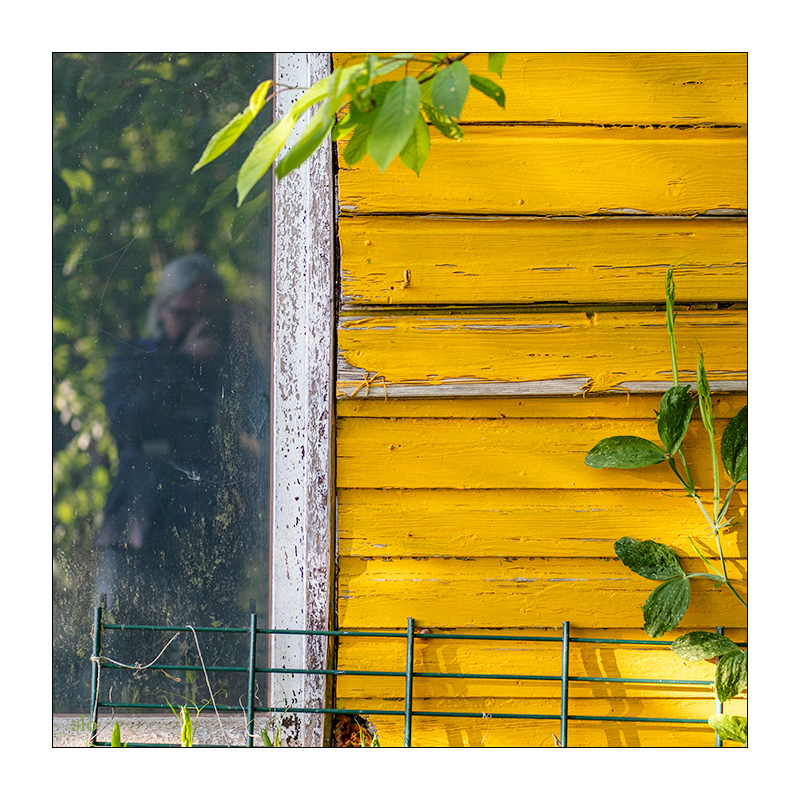 135/365 Lou Reed – Perfect Day © 2025 Sabine Lommatzsch