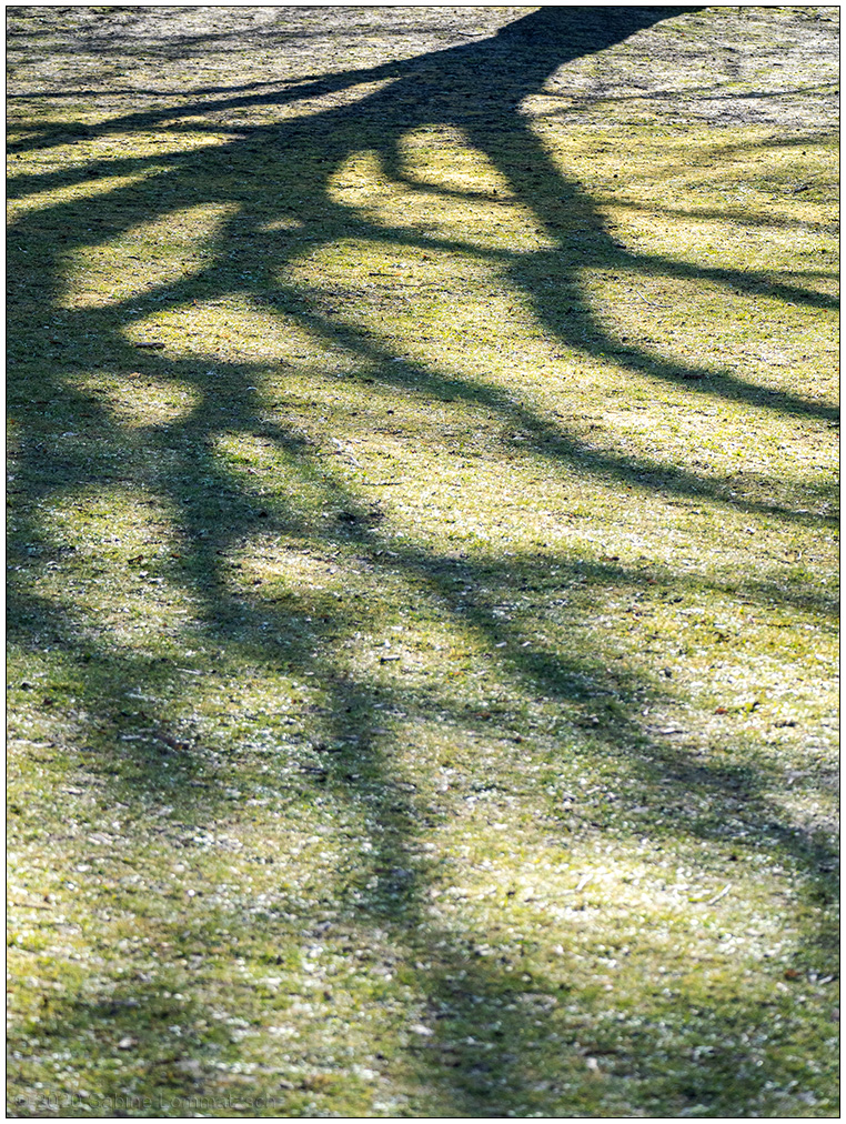 136 Licht und Schatten 2