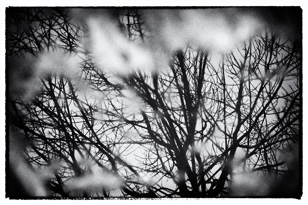 14/365 1 Zweitauswahl