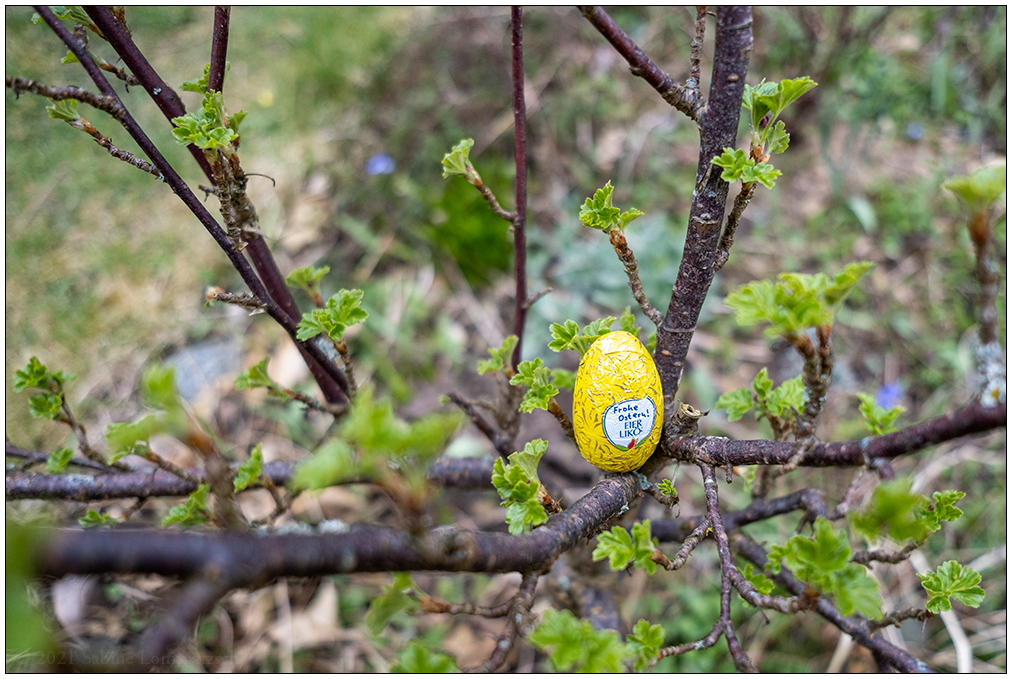143 Frohe Ostern!