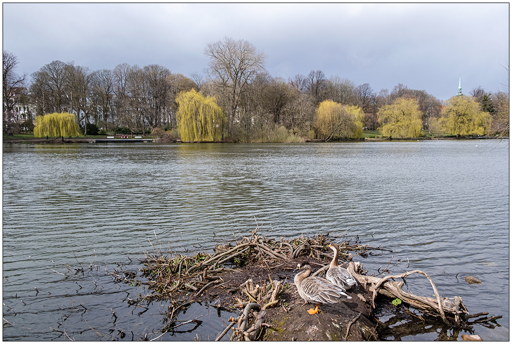 144 Aprilwetter im Schrevenpark