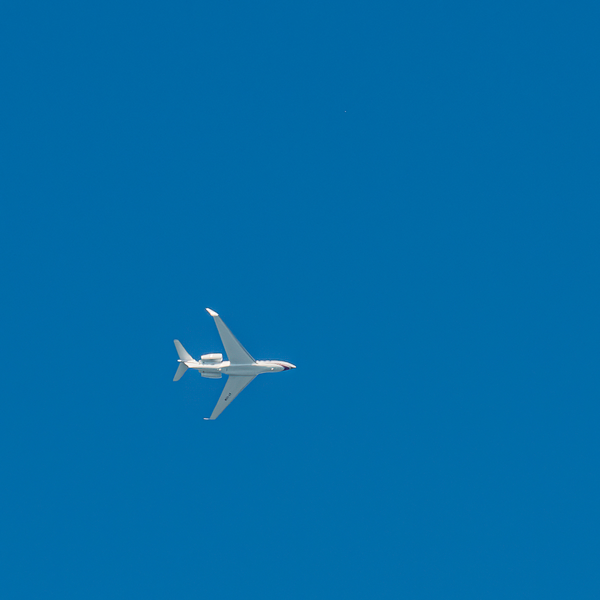 146-365.jpg