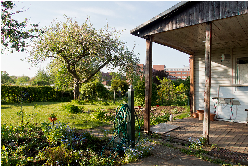 146 Gartenhütte 2016 im Mai