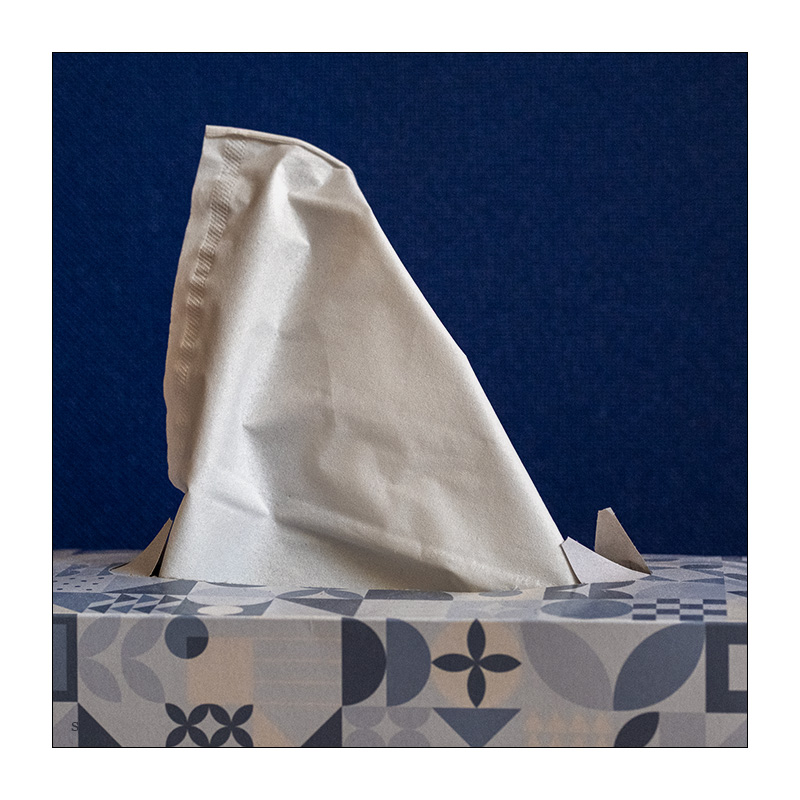 147/365 Sophie Zelmani – Sailing © 2026 Sabine Lommatzsch