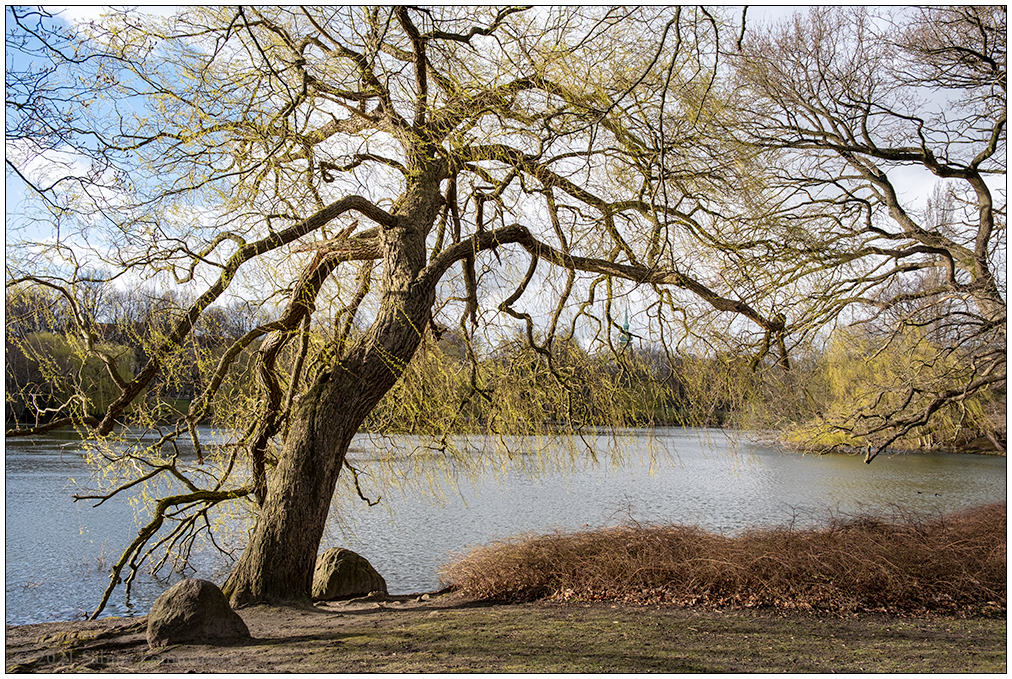 147 Schrevenpark im April I