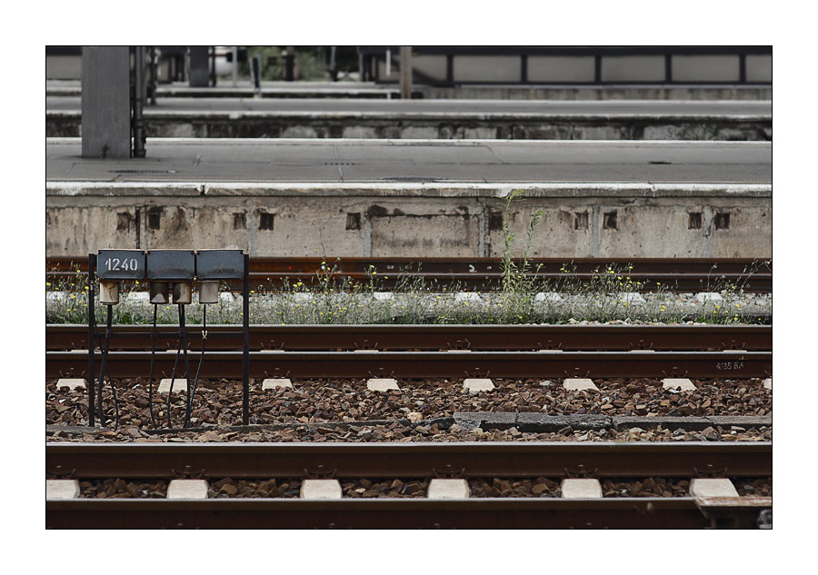1471248c5835a7475a