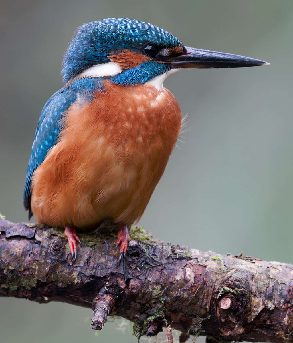 15 400mm f-5.6.jpg