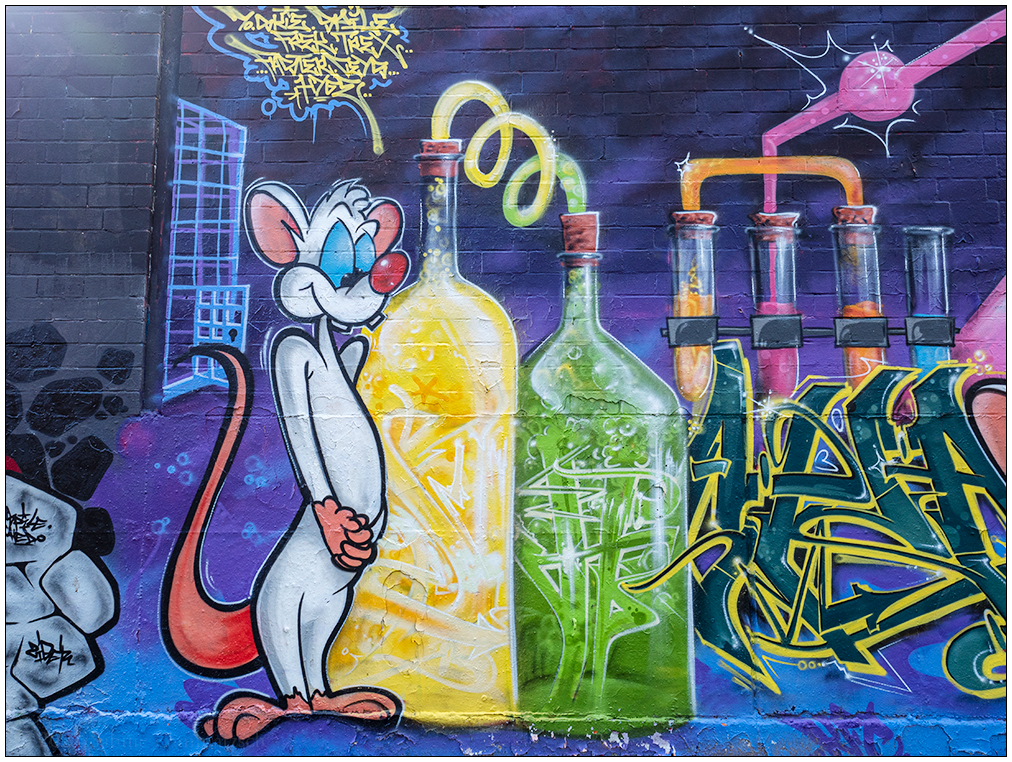 150 Graffiti Veloroute I