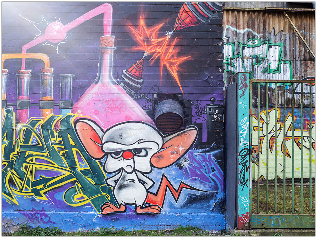 151 Graffiti Veloroute II