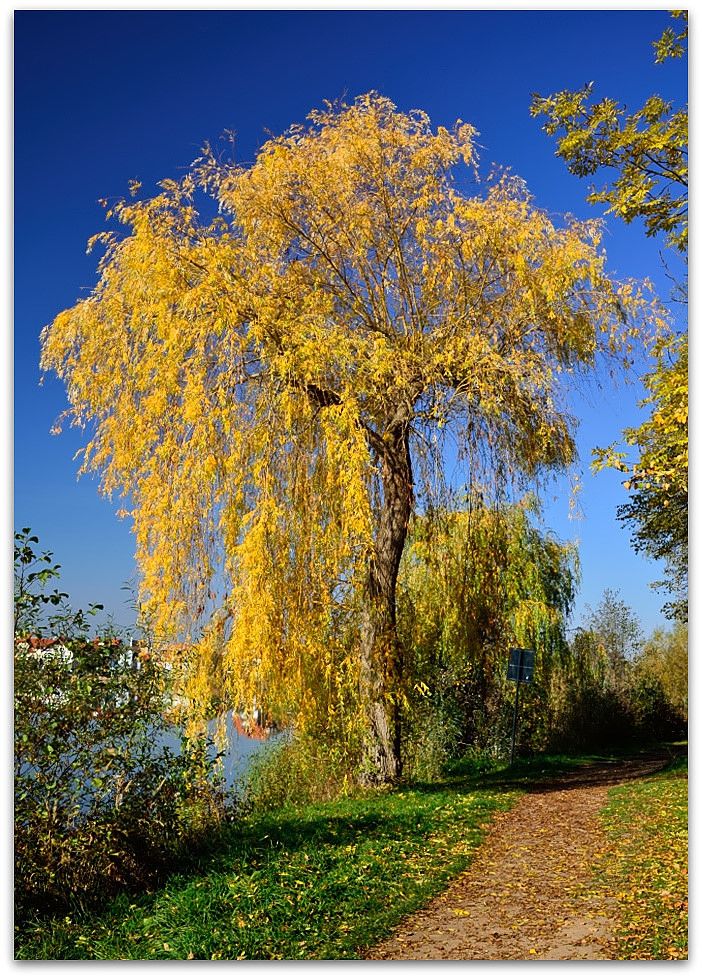 151101-Seeherbst-MNE 0276