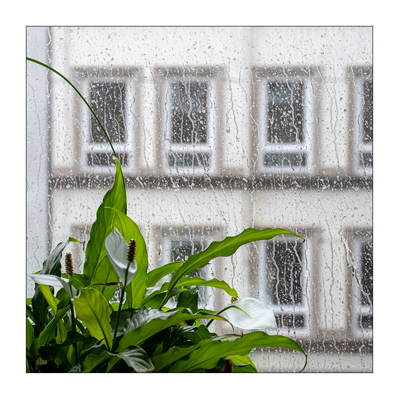 152/365 Tina Turner – I Can’t Stand the Rain © 2025 Sabine Lommatzsch