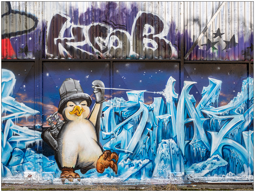 152 Graffiti Veloroute III