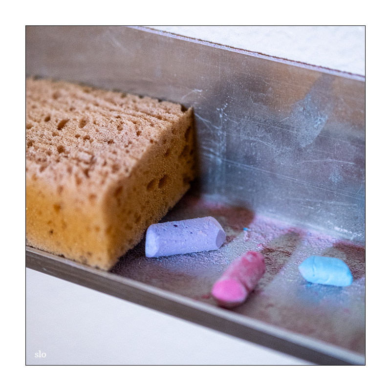 157/365 Enya – One By One © 2025 Sabine Lommatzsch