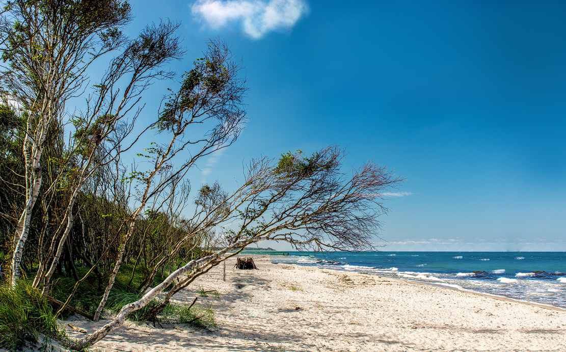 16 08 17 0109 prerow weststrand 4