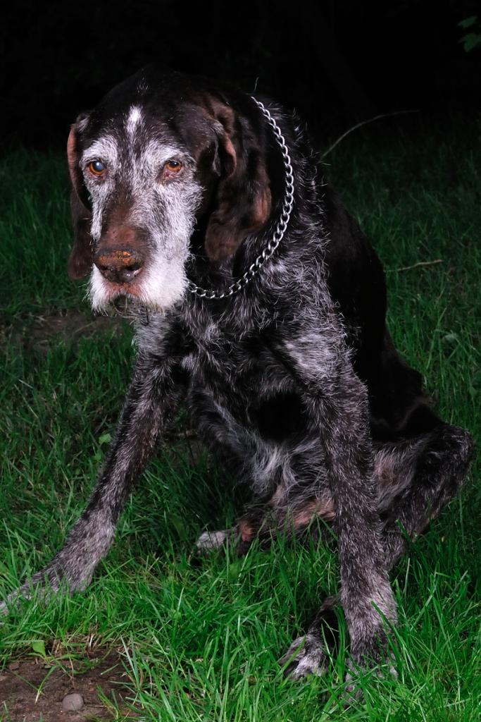 16. Juni 2012 Axel