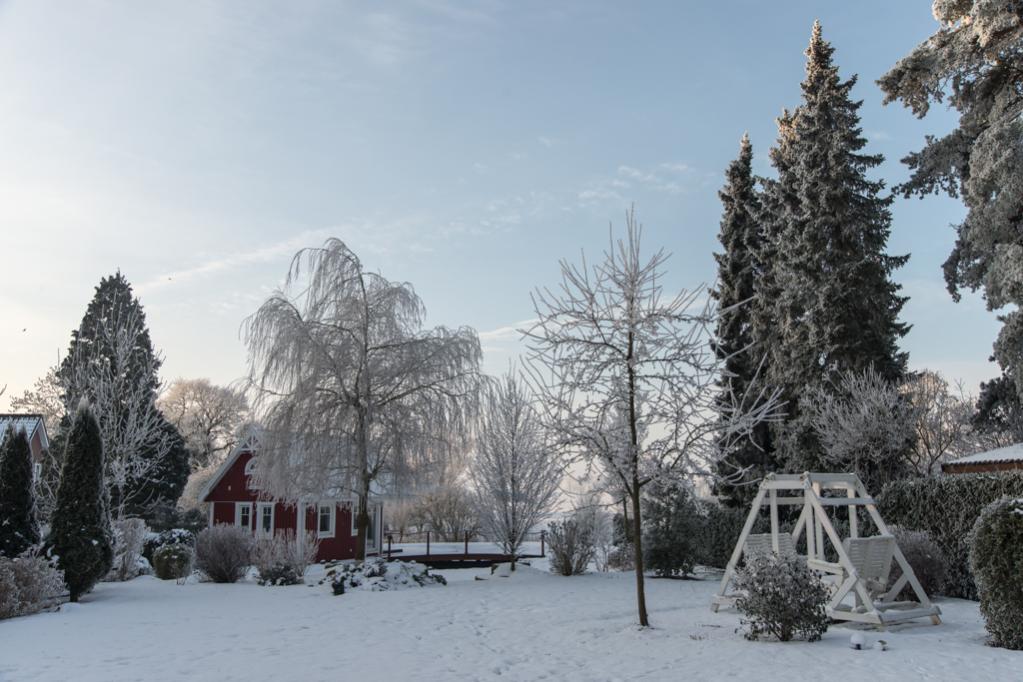 160122 Schnee im Garten