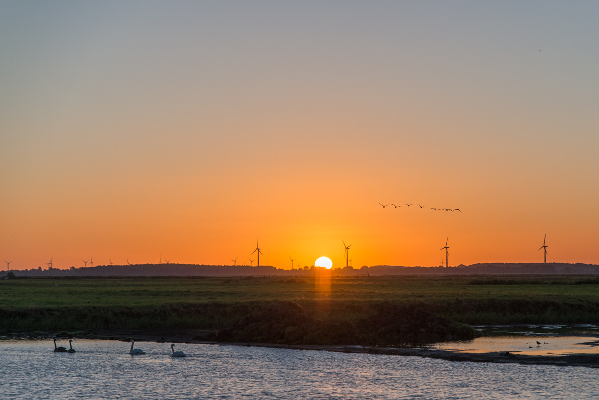 161004 Wiemsdorf Sonnenaufgang 1