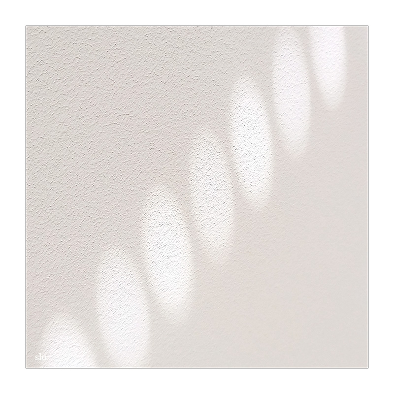 164/365 Mike Oldfield – Shadow on the Wall © 2025 Sabine Lommatzsch