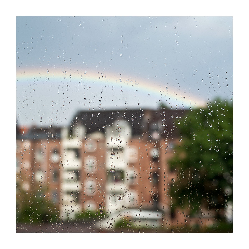 165/365