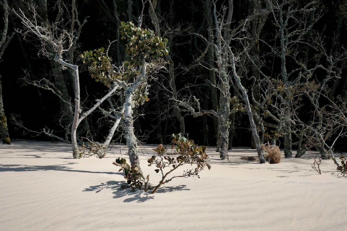 167-20200919142444.jpg