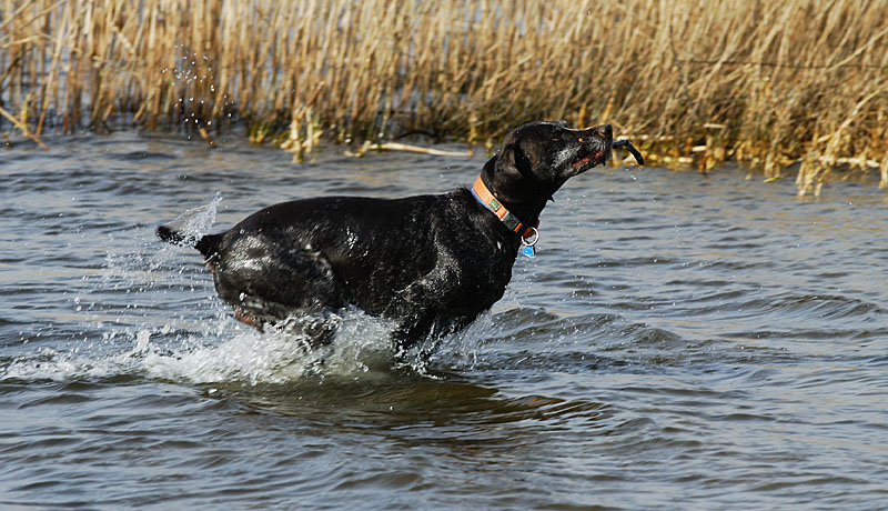 17 Februar 2007 Axel